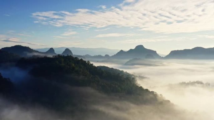 早晨与小鸟在森林和山上的雾的鸟瞰图