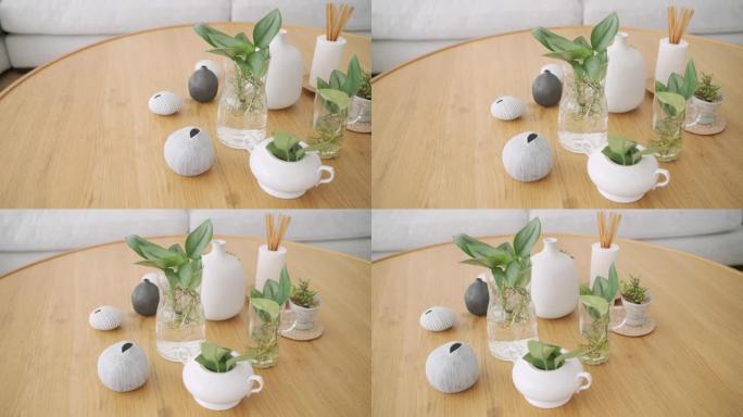 木桌上小植物装饰的多莉镜头
