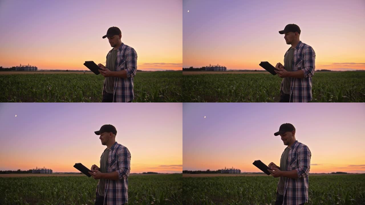 黄昏时分，年轻的农民在玉米地里使用数字平板电脑