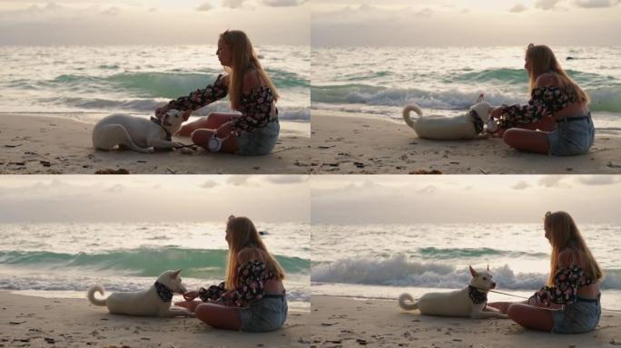 女人在海滩上给她的狗请客