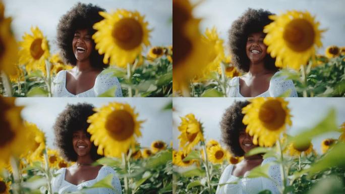 快乐的年轻黑人妇女在向日葵领域笑