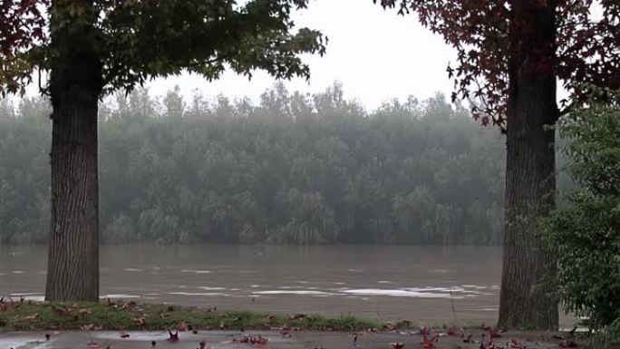 阿根廷布宜诺斯艾利斯省蒂格雷河上的清晨薄雾。