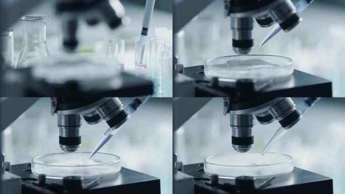 在显微镜下，使用微量移液管并将化学液体与转基因样品混合的科学家的特写镜头。用技术设备在实验室工作的微