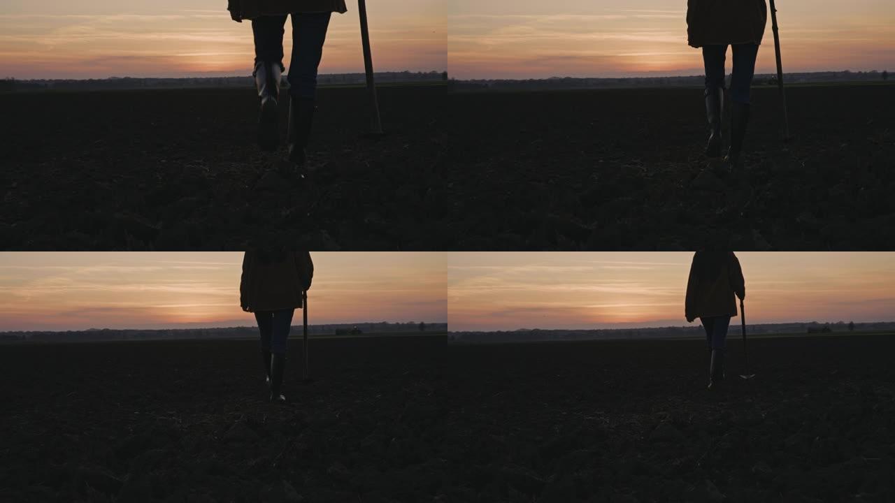 SLO MO年轻的女农民带着锄头在黄昏时走过田野