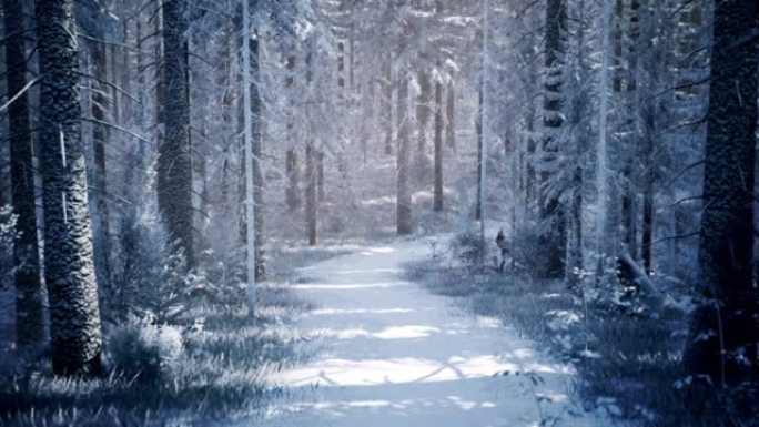 为圣诞贺卡生成的冬季圣诞节森林的数字图像