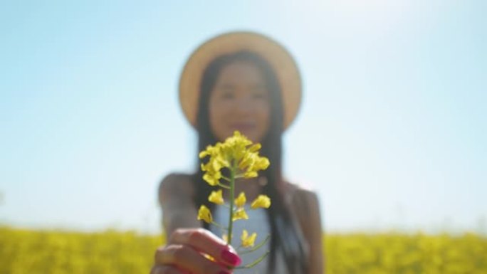 我最喜欢的花。