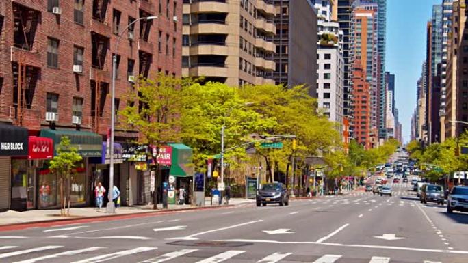 绿色纽约街。树。曼哈顿大厦