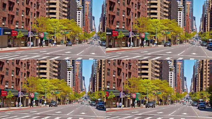 绿色纽约街。树。曼哈顿大厦