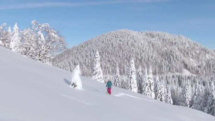 无人机: 风景秀丽的寒冷山区景观环绕着阳光明媚的女人滑雪旅行