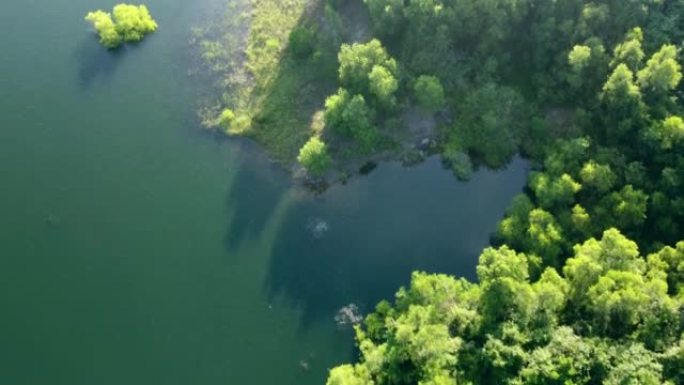 拥有绿色森林的湖泊的鸟瞰图