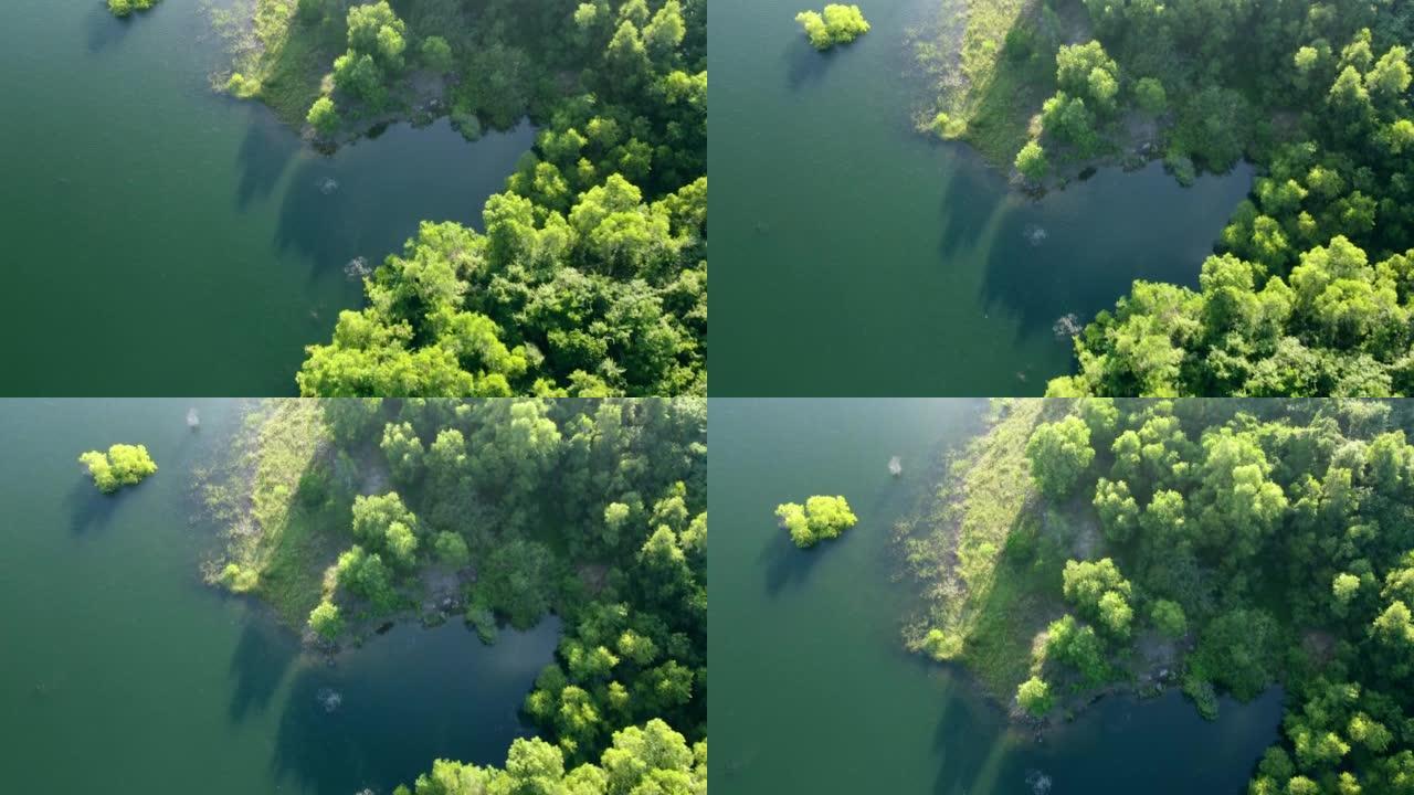拥有绿色森林的湖泊的鸟瞰图