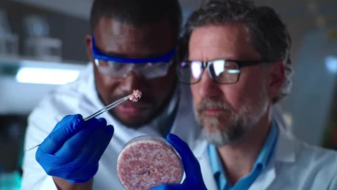 多种族科学家在培养皿中检查细胞肉