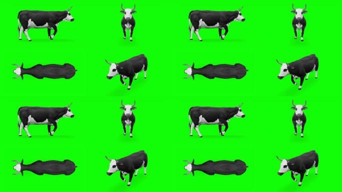 绿色屏幕上的母牛。动物的概念，野生动物，游戏，返校，3d动画，短视频，电影，卡通，有机，色键，人物动