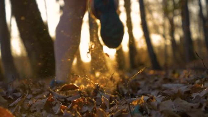 慢动作: 金色的阳光在秋天的森林中窥视着奔跑的女性腿