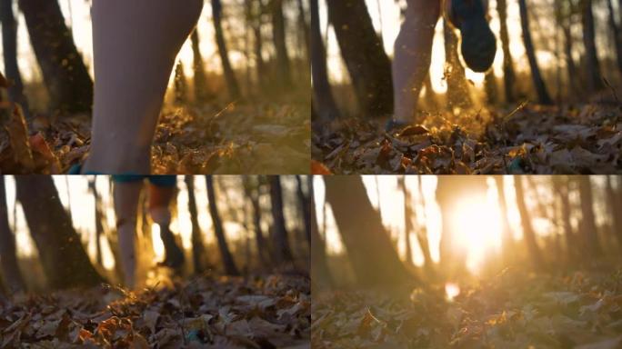 慢动作: 金色的阳光在秋天的森林中窥视着奔跑的女性腿