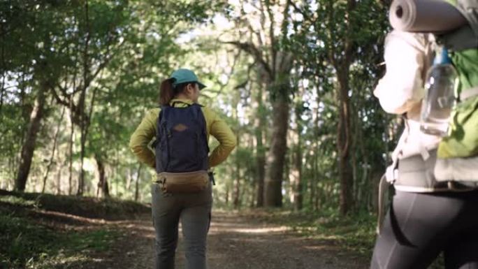 两个妇女旅行者徒步在绿色的森林户外露营