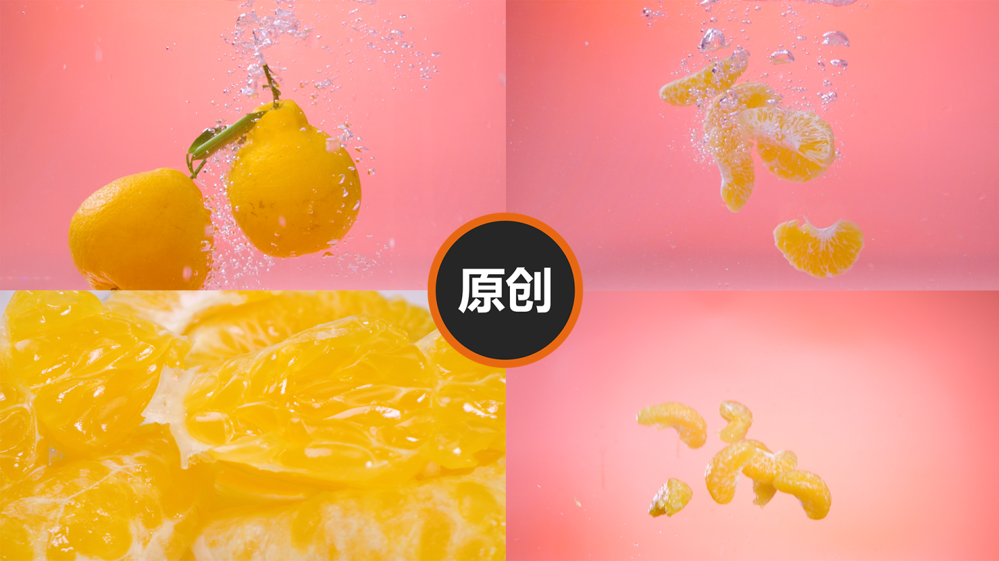 T0199柑橘（总）