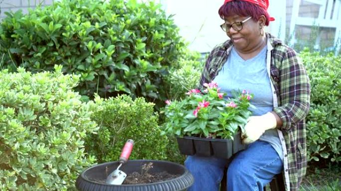 高级非裔美国妇女在院子里园艺