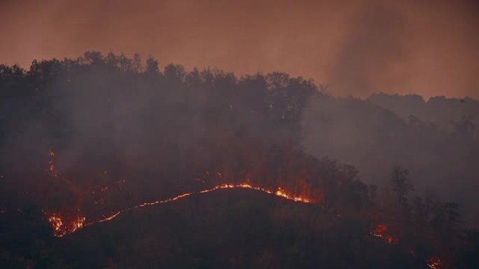 夜间山上的野火视频素材树林大火