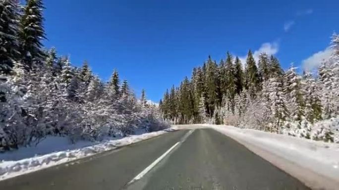 在白雪覆盖的森林中，在白雪覆盖的乡村道路上行驶的观点