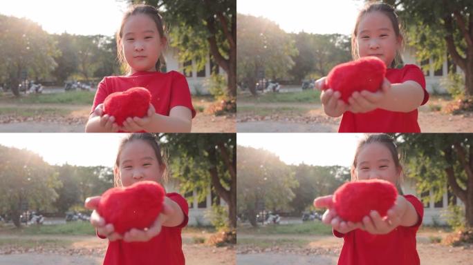 SLO MO亚洲女孩手握红心。情人节快乐或周年纪念概念