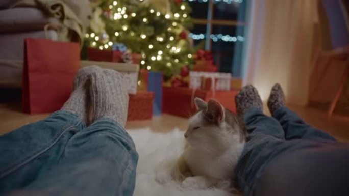 女士无法辨认的夫妇和一只猫躺在圣诞树旁边的地板上