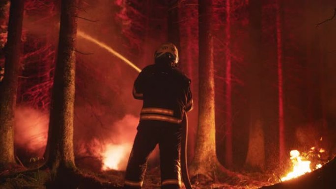 专业消防员借助消防水带迅速扑灭森林大火。消防员小组从无法控制的大火中拯救荒地。从后面缩小肖像。