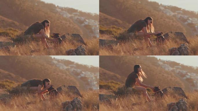 4k视频片段，一位迷人的年轻女子与她的狗坐在一起，在徒步旅行中观看日落