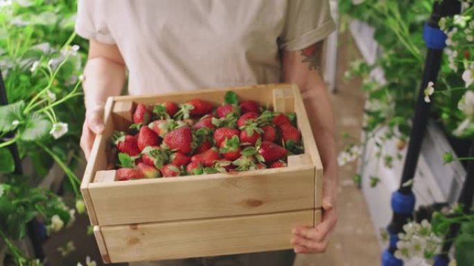 草莓木盒
