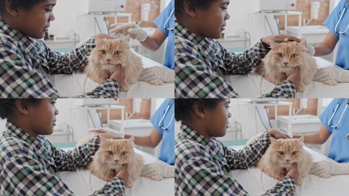 小男孩关心他的猫宠物医院