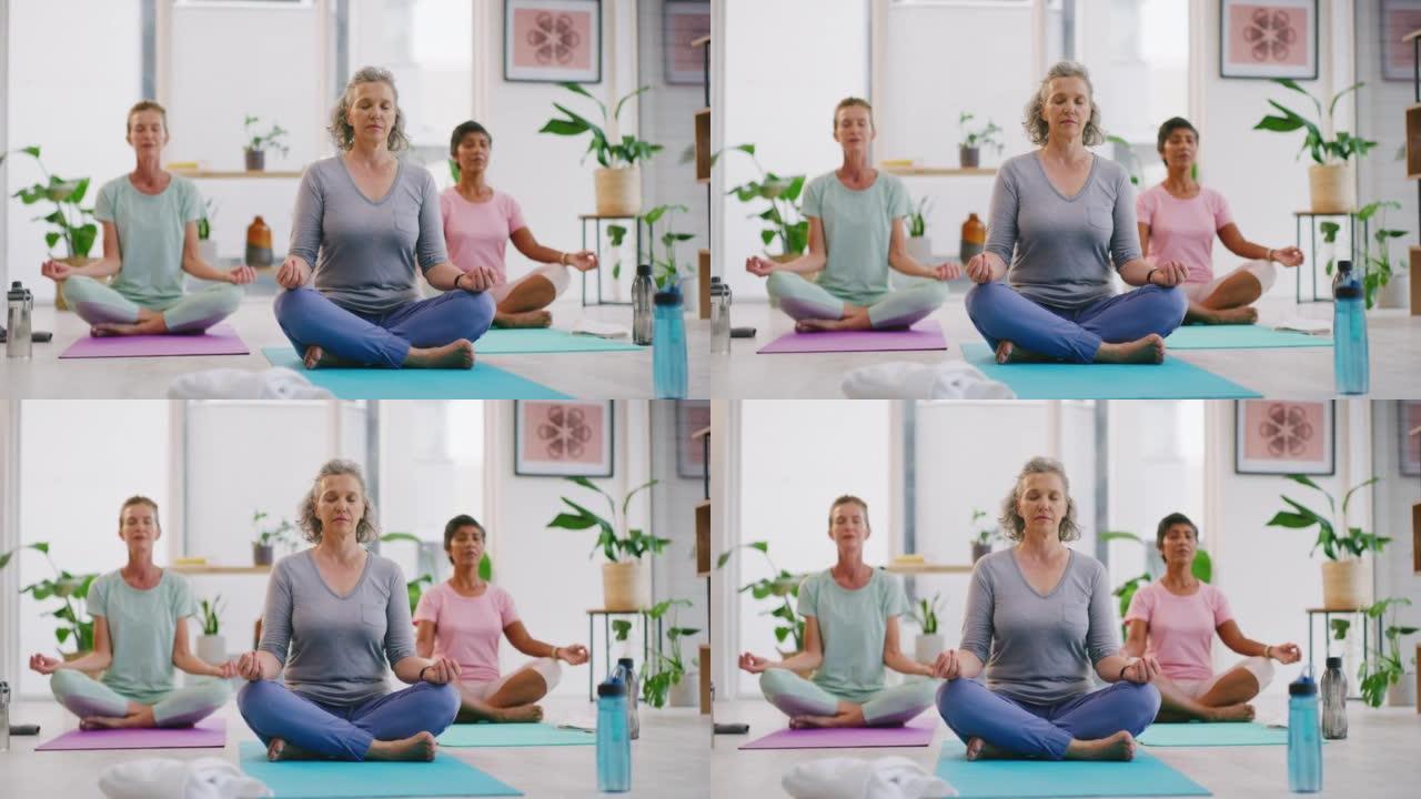 在禅宗瑜伽课上冥想莲花姿势的成熟女性。各种各样的瑜伽士坐在垫子上，双腿交叉，找到内在的心理平衡与和平
