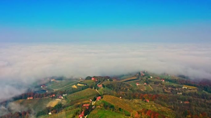 绿色乡村景观被雾覆盖，Jeruzalem，Prlekija，斯洛文尼亚