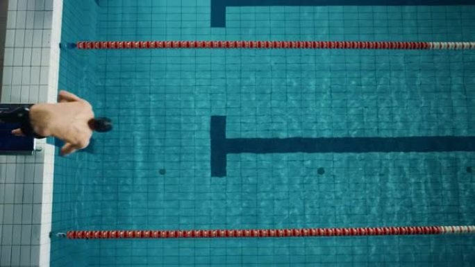 空中俯视男子游泳运动员在奥林匹克游泳池潜水和游泳。专业运动员在锦标赛上表演，使用蝶式。取胜的决心。电