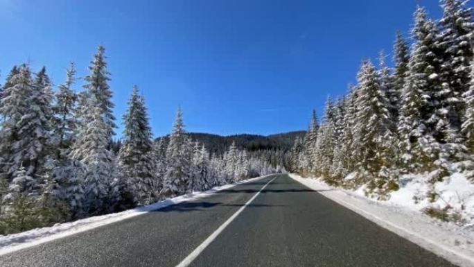 在积雪覆盖的森林中的冬季道路上行驶