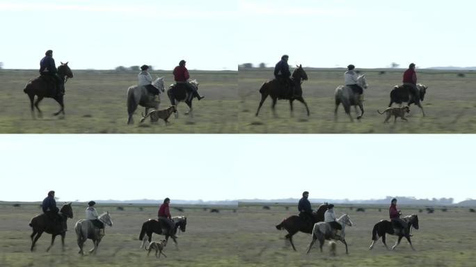 一个小孩和两个男人在阿根廷的乡下骑马。