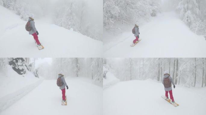 运动女滑雪板沿着穿过雾蒙蒙的森林的修饰斜坡。