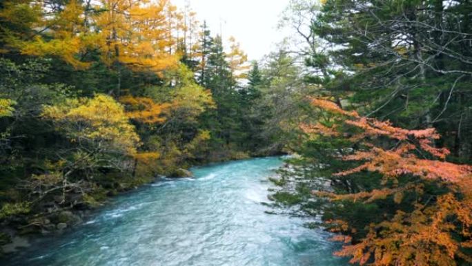 河秋天美丽的秋天山涧流水瀑布水帘洞清泉石