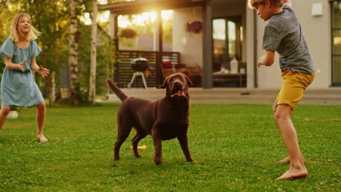 美丽的三口之家在后院草坪上与快乐的棕色拉布拉多寻回犬一起玩玩具球。田园诗般的家庭在避暑别墅与忠诚的血