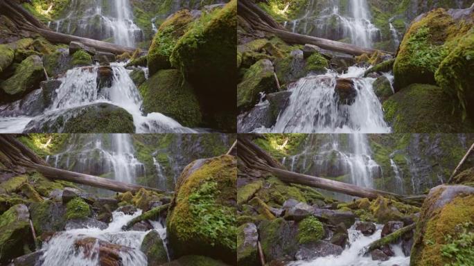 美国俄勒冈州下代理秋季的万向节慢动作镜头。相机在长满苔藓的石头之间移动