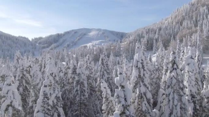 由于covid19规定，空中滑雪场的斜坡在阳光明媚的冬天仍然空无一人