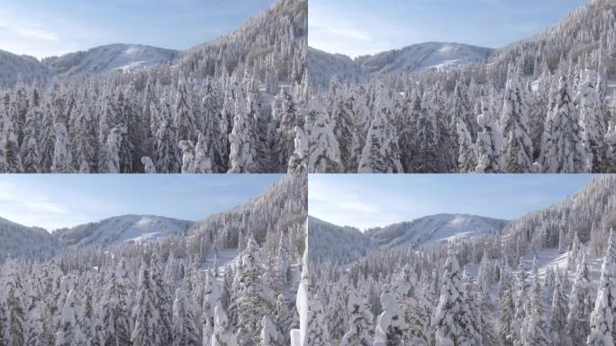 由于covid19规定，空中滑雪场的斜坡在阳光明媚的冬天仍然空无一人
