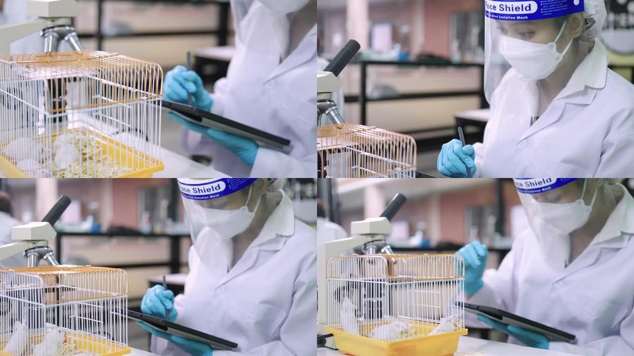 科学家研究大鼠研究并在实验室进行检查