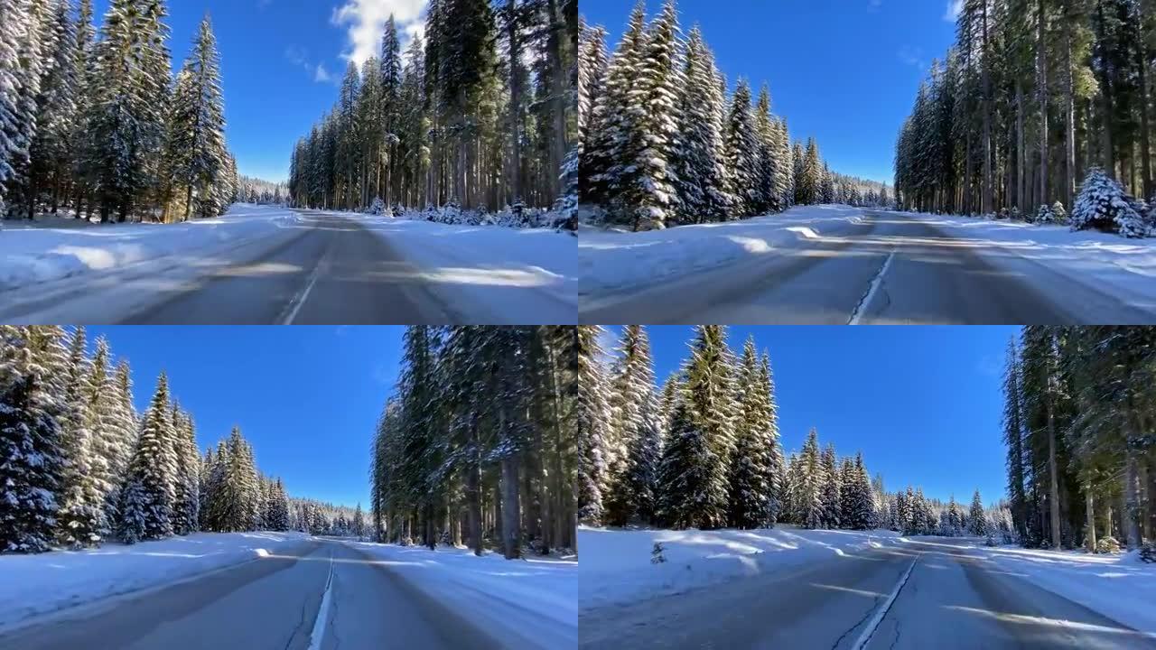 在白雪皑皑的森林中的冬季道路上行驶