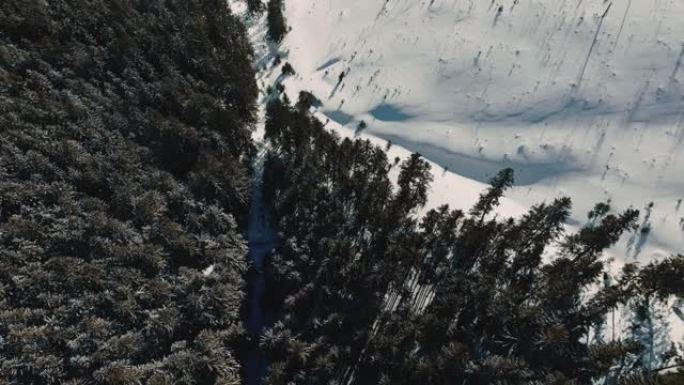 在寒冷的冬天早晨，无人机在积雪覆盖的山区景观上飞过大片丰富的常绿林木。