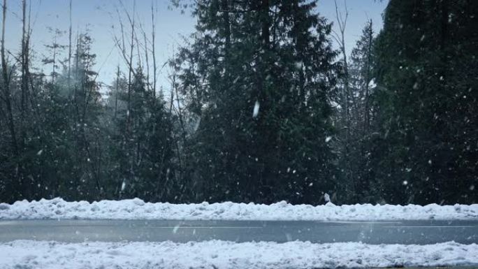 车辆在森林道路上降雪通过