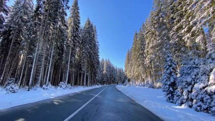 穿越白色森林的雪乡公路上的驾驶视点