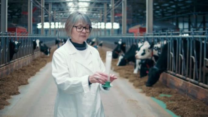 女工在牛棚里闻鲜奶