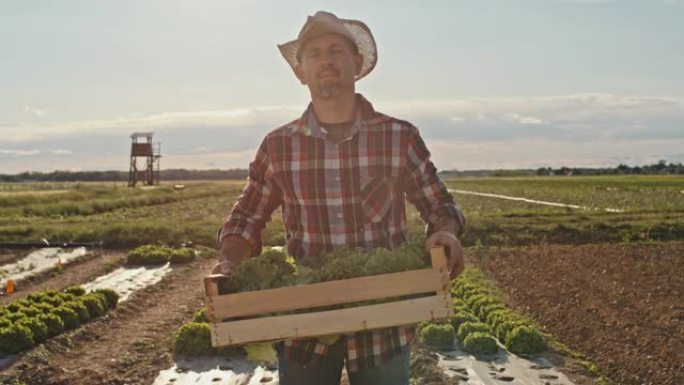 日落时分，穿着格子衬衫的SLO MO Farmer在田野上背着一箱新鲜采摘的生菜
