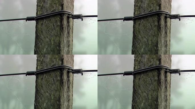 在阿根廷这个国家，古老的农场篱笆柱上悬挂着蜘蛛网，上面覆盖着水滴。特写。4k分辨率。