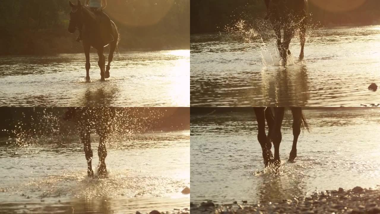 镜头耀斑: 年轻女子在日落时带领她的马走出浅河。